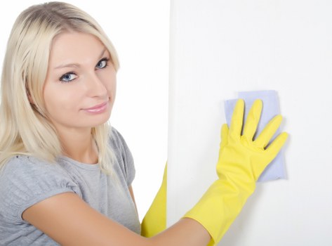 Blotting a fresh pet stain on upholstery