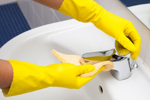 Stain removal and carpet care in a busy London property